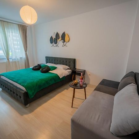Coresi Vibe Studio Brasov Exterior photo